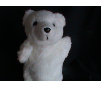 Polar Bear