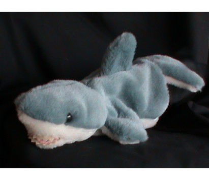 Shark