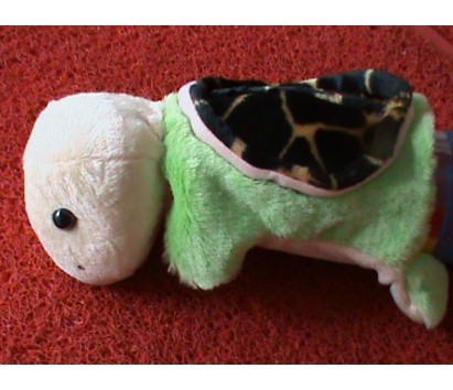 Tortoise