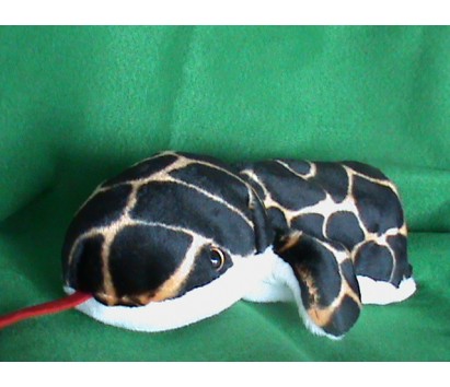 Snake