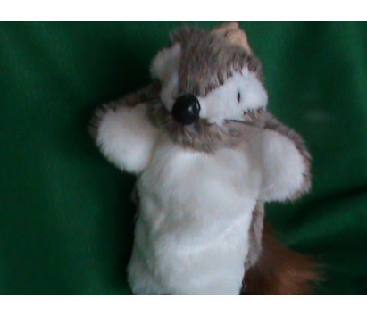 Squirrel