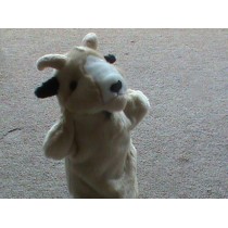 Hand Puppets