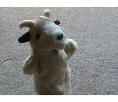 Goat (White)