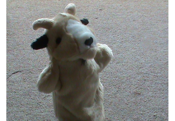 Hand Puppets