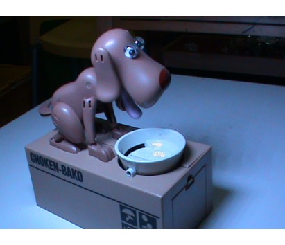 Greedy dog coin bank