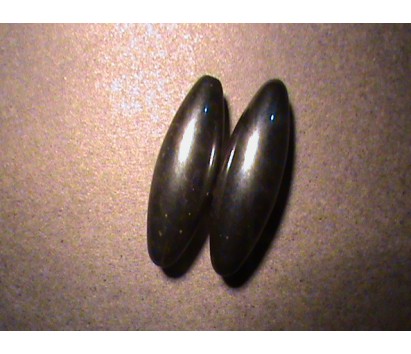 Rattle snake magnets (large)