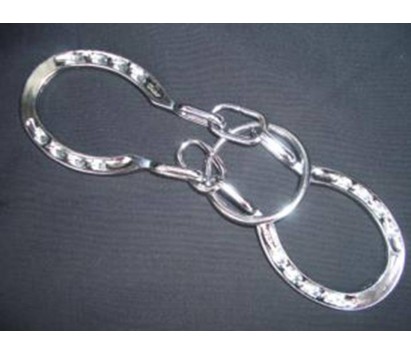 Horseshoe puzzle