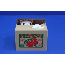 Science Toys