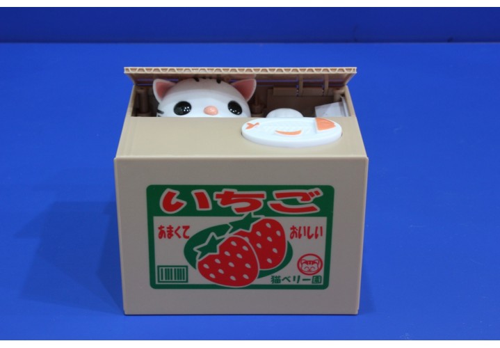 Science Toys