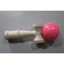 Science Toys