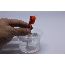 secondary science