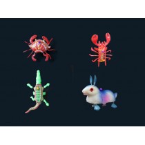 Science Toys